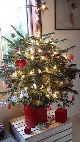 Photo de Greenwich Christmas Trees
