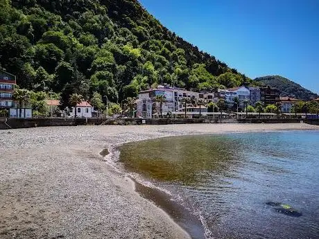 Photo de Beach Park