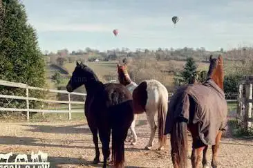 Photo de Willo Horse Ranch