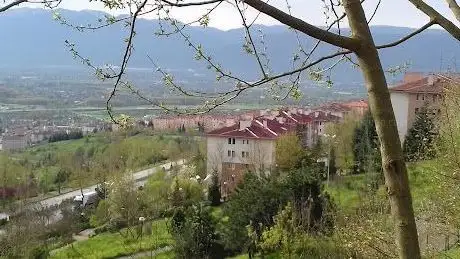 Photo de Kinder garden