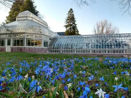 Photo de Talcott Greenhouse