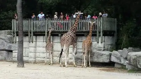 Photo de Zoo de La Palmyre