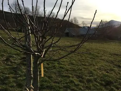 Photo of La Ferme de Badabec