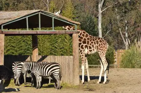 Photo de Izmir Wildlife Park