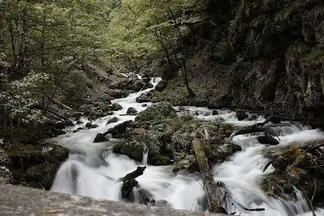 Photo de Hartelsgraben