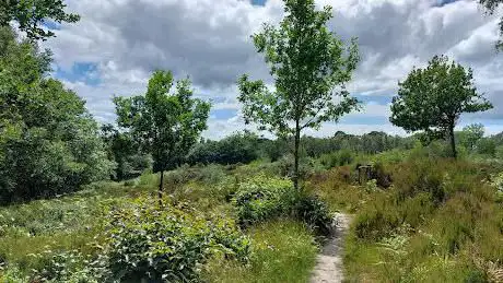 Photo de Selwyns Wood Nature Reserve  Sussex Wildlife Trust