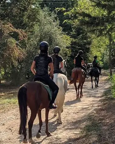 Photo de Centro Equitazione La Striglia