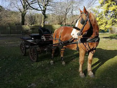 Photo de LE RANCH : LA ROUE LIBRE 40