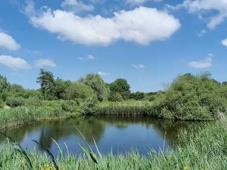 Photo de Ijsvogel warandeputten