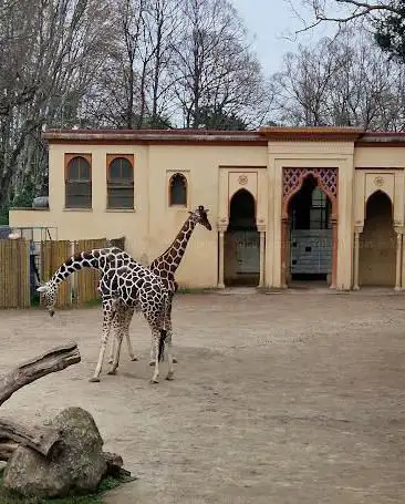 Photo de Bioparco di Roma