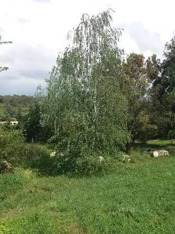 Photo de Botanic Del Gaià