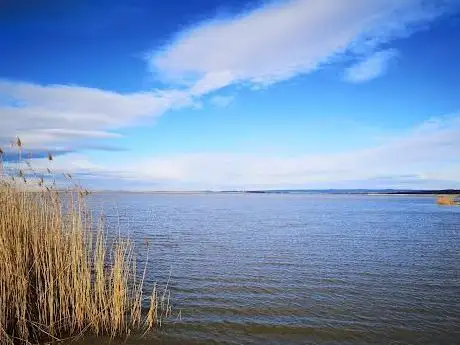 Photo de Lake Neusiedl beach