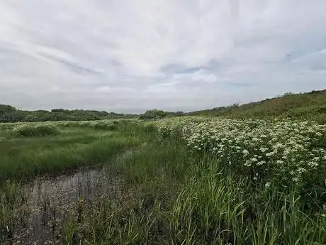 Photo de Llangloffan Fen