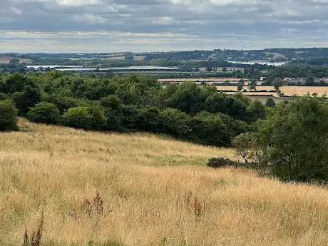 Photo de Gorse Field Nature Reserve