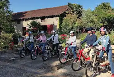 Photo de Vous en mob - balades insolites à mobylette, accompagnées et commentées, en Nord Béarn et dans le vignoble du Madiran