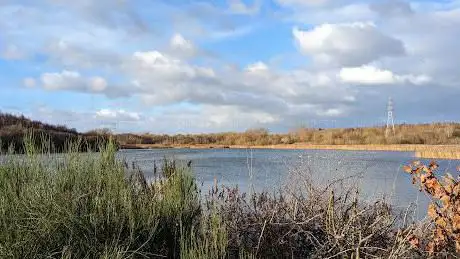 Photo de Wigan Flashes Local Nature Reserve