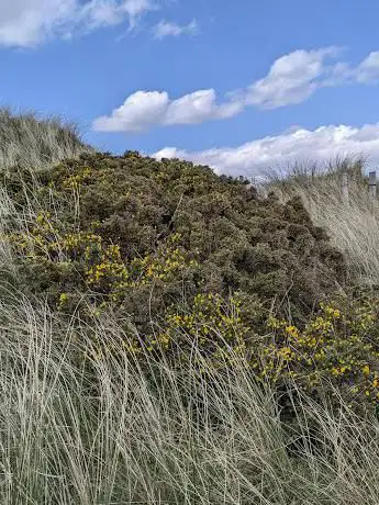 Photo de Wolsty Banks Nature Reserve