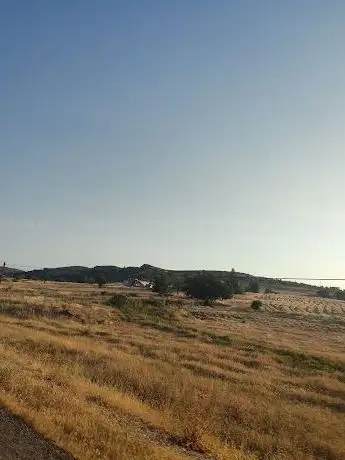Photo de Fisovasi