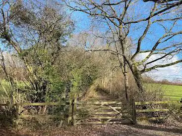 Photo de Little Foxes Copse - Woodland Trust