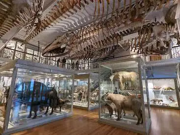 Photo de The Harvard Museum of Natural History