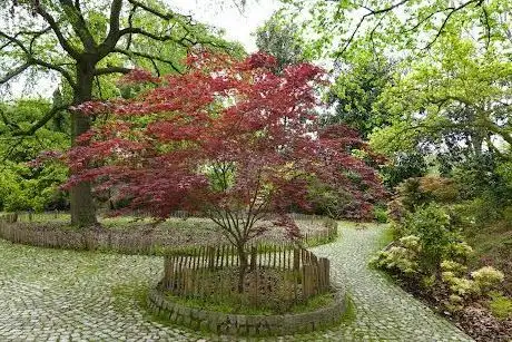 Photo of Jardin remarquable fleurs et arbres