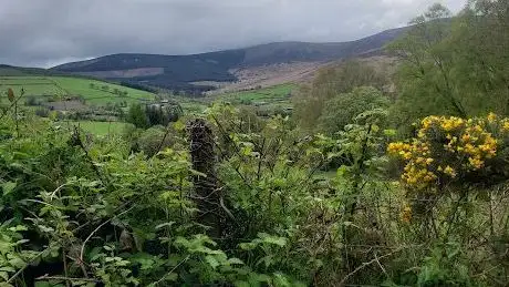 Deerpark Mountain Biking and Hiking Trails