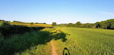 Photo of Pan Country Park
