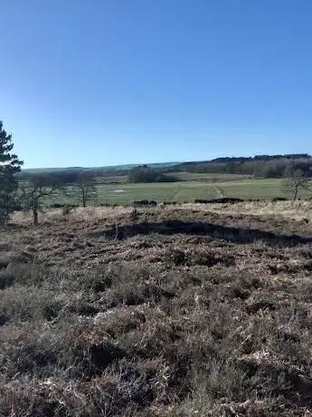 Photo de Tadnoll Nature Reserve