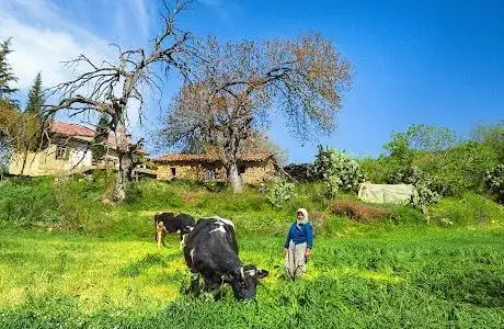 Photo de Gölçayır