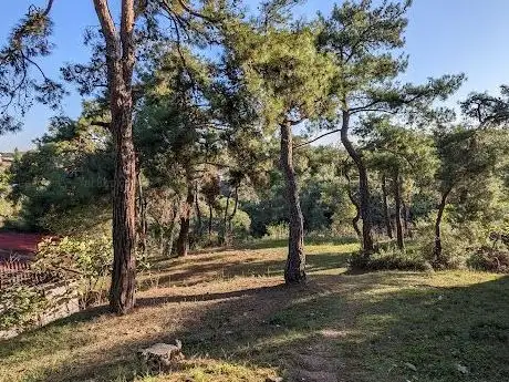 Photo de İBB Hacetderesi Milli Parkı