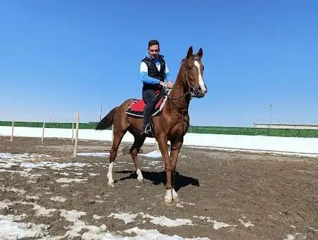 Photo de Karapınar Binicilik & Tay Eğitim Merkezi