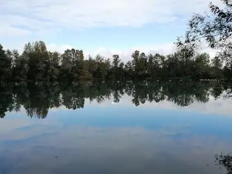 Photo de Vogelsee