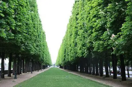 Photo de Jardin d'Erevan