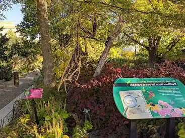 Photo de Smithsonian Pollinator Garden