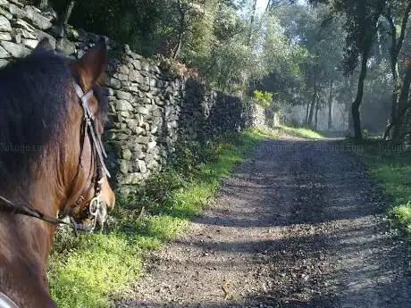 Photo de EL MAS DELS CAVALLS (Matadepera - Terrassa - Sabadell) CLASSES - RUTES - PUPIL·LATGE