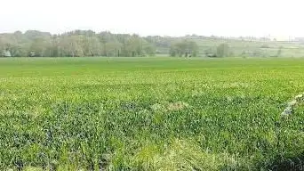 Photo de Jardin Des Marettes