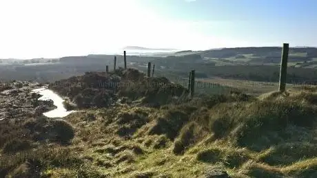 Foto de Carrigatuke Viewpoint