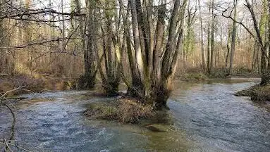 Photo de Réserve naturelle de Combes Chapuis