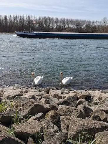 Photo de StixwÃ¶rth