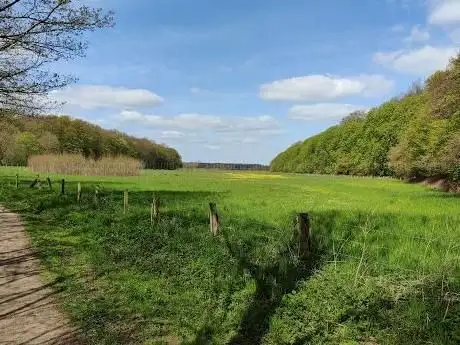 Photo de Hirschpark Nordkirchen