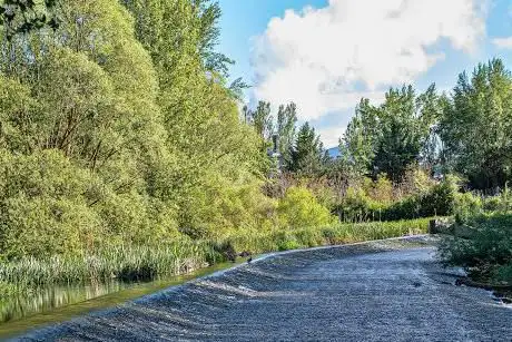 Photo de Presa del Molino de Castañares