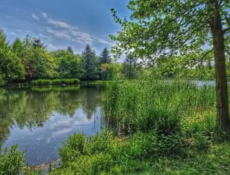 Photo of ️ Parc de l’Églantier