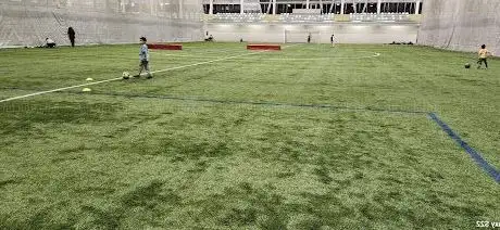 Photo de Terrain de soccer du Royal-Saint-David 1