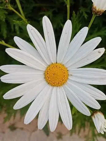 Photo de Quinta das Castelhanas