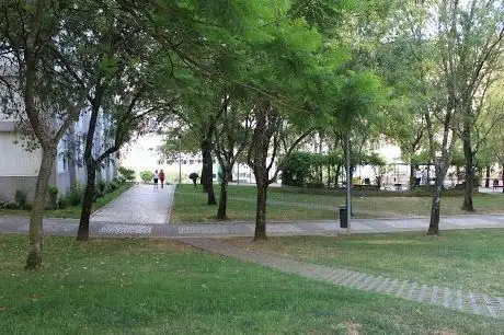 Photo de Jardim Bento Martins
