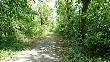 Photo de Ketscher Rheininsel