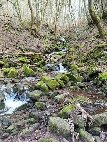 Photo de Mühlenpfad im Ostertal