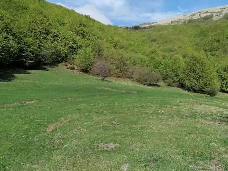 Photo de Malga di Costa Rivazza