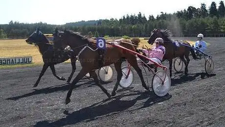 Photo de Hippodrome de Jullianges