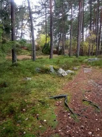 Photo de Skevik
